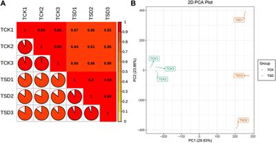 Integration of the metabolome and transcriptome reveals the molecular mechanism of drought tolerance in Plumeria rubra